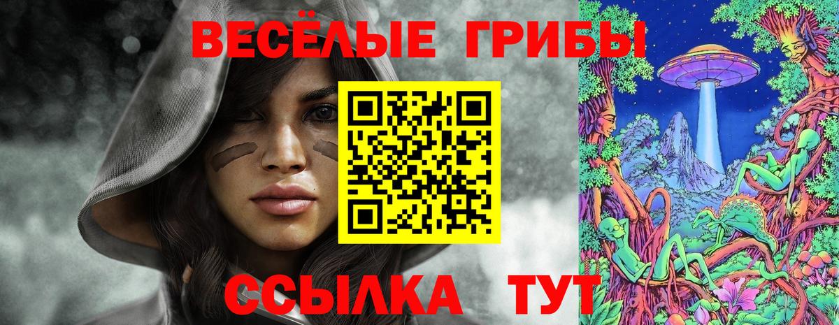 Галлюциногенные грибы Psilocybine cubensis  Вход с VPN  хочу   Шали 